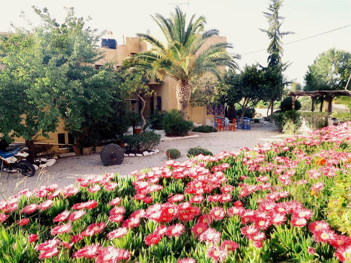 Vagia Beach Apartments, Aegina Island Phòng bức ảnh