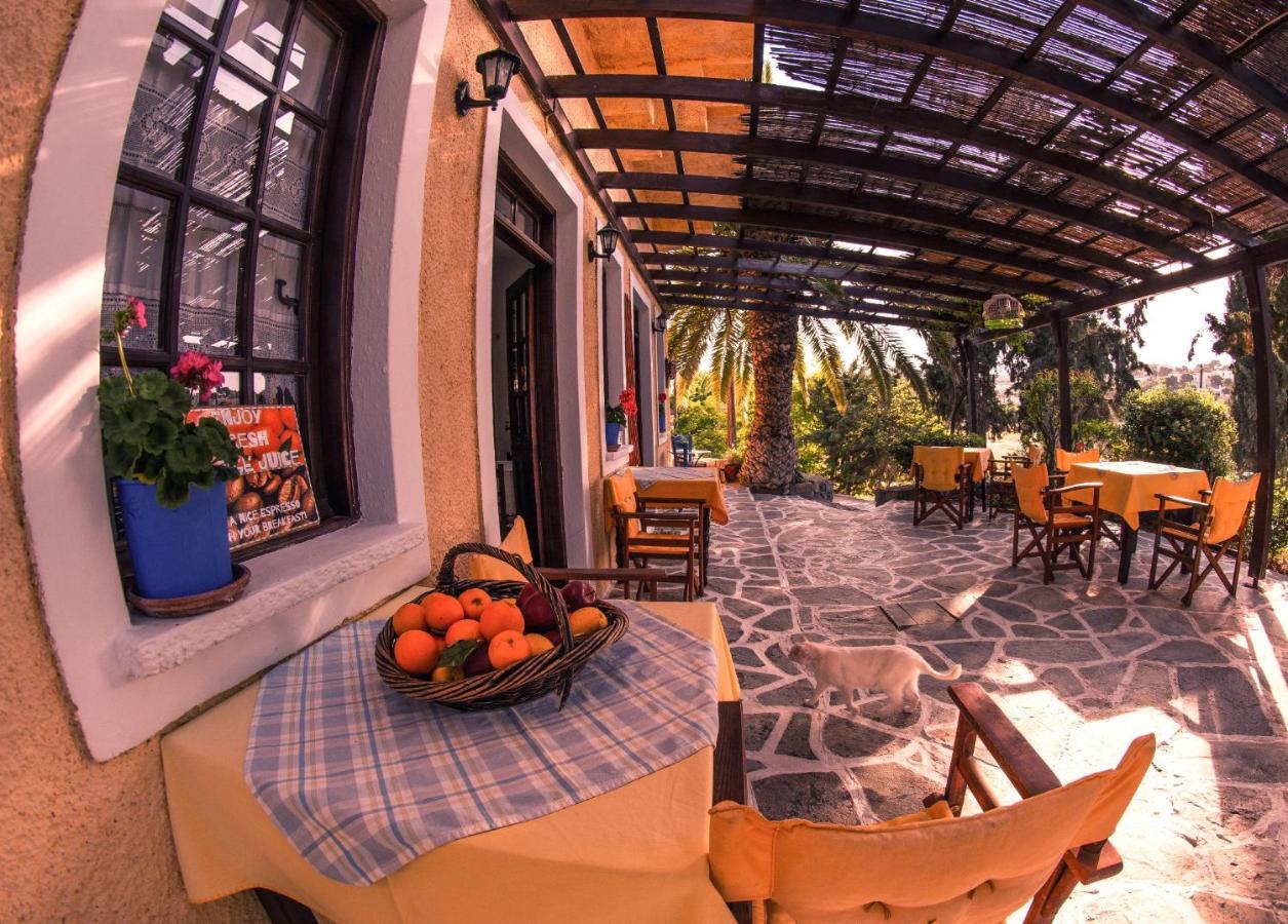 Vagia Beach Apartments, Aegina Island Phòng bức ảnh